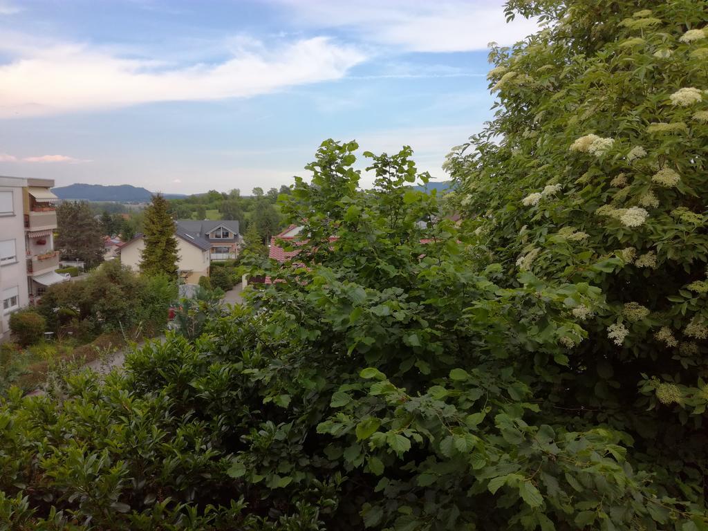 Alte Schreinerei-Auberge Harlekin Randegg Exteriér fotografie